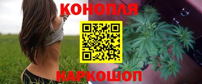 мдпв Пугачёв