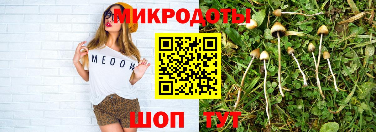 Ржев  Галлюциногенные грибы Psilocybine cubensis  Вход с VPN  Псилоцибиновые грибы Psilocybine cubensis 